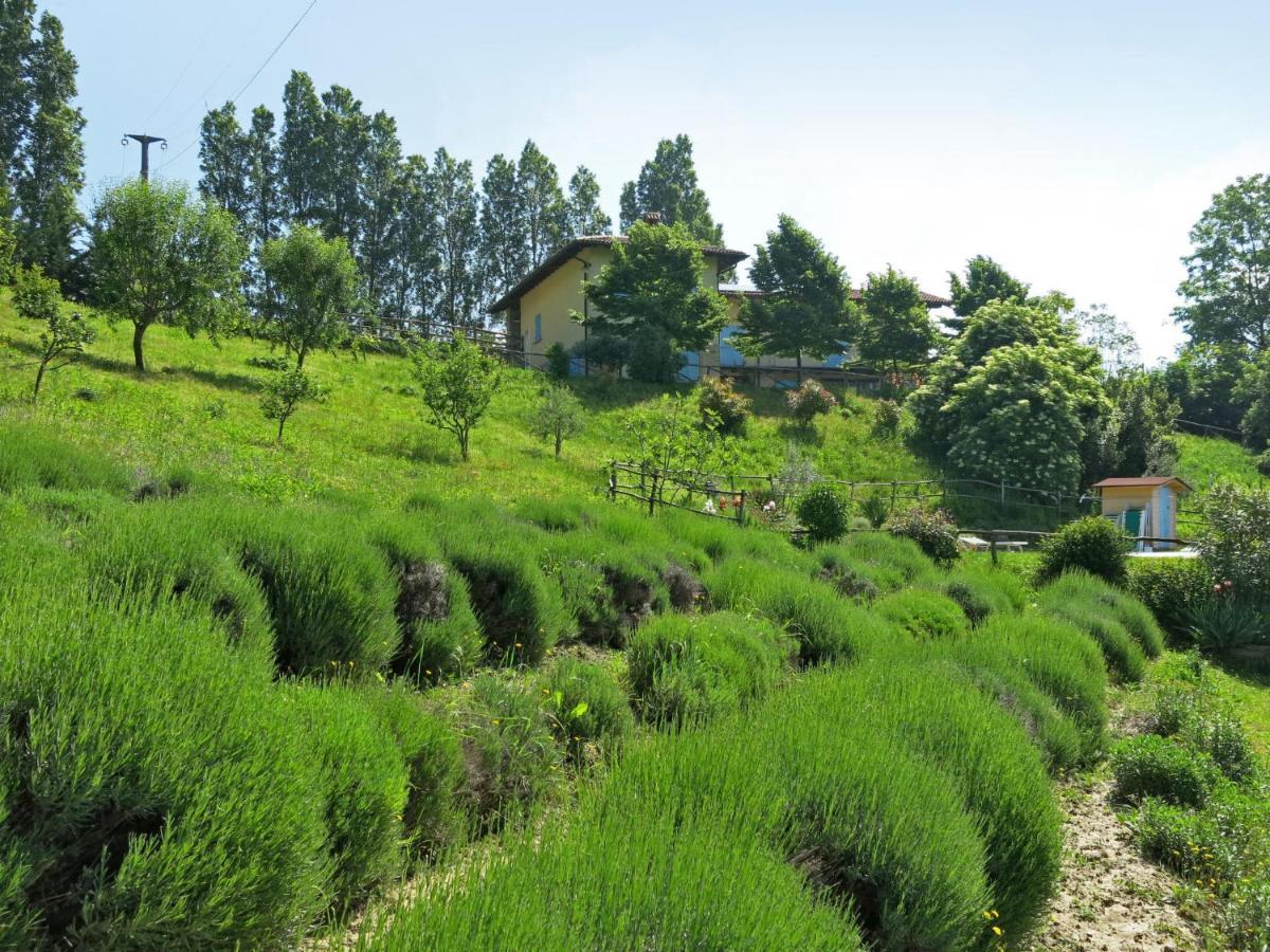 Villa Locazione turistica Cossano Belbo Esterno foto