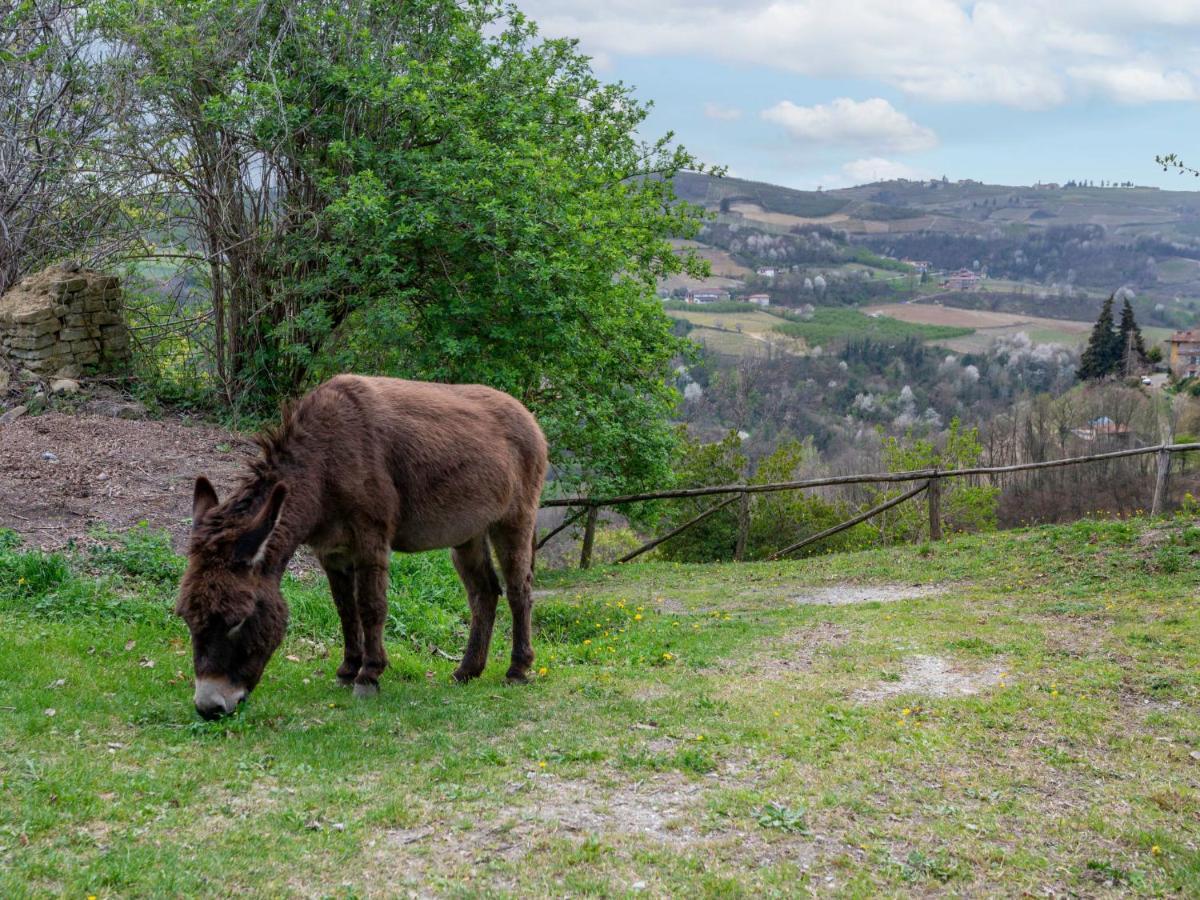 Villa Locazione turistica Cossano Belbo Esterno foto